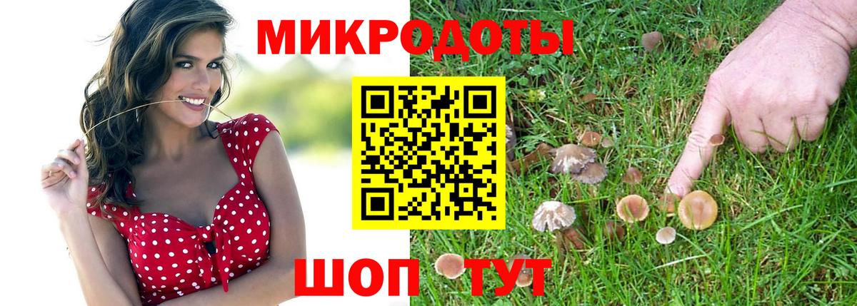Псилоцибиновые грибы MAGIC MUSHROOMS  Галлюциногенные грибы Magic Shrooms  Вход с VPN  Хасавюрт 